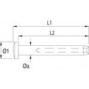 Blue Wave Linsenkopfterminals Architektur aus Edelstahl A4 (AISI316)